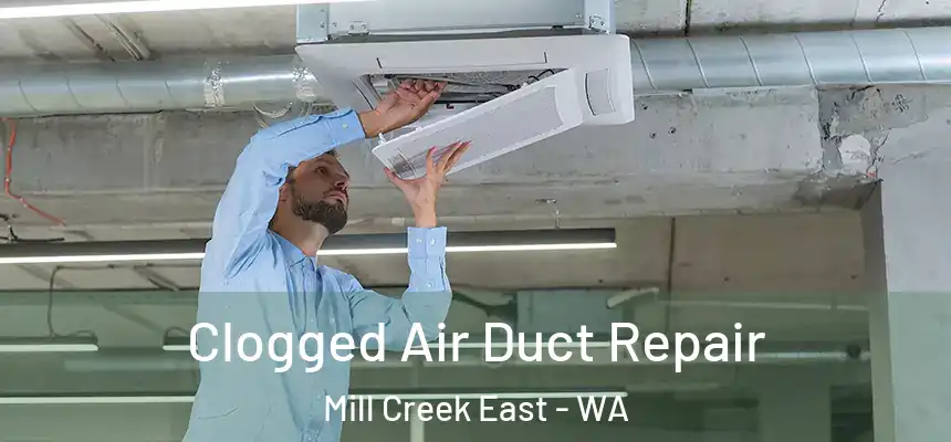  Clogged Air Duct Repair Mill Creek East - WA
