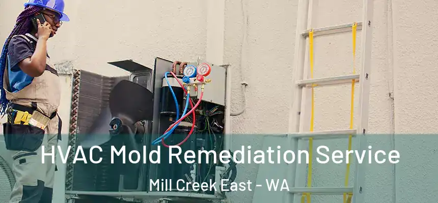  HVAC Mold Remediation Service Mill Creek East - WA