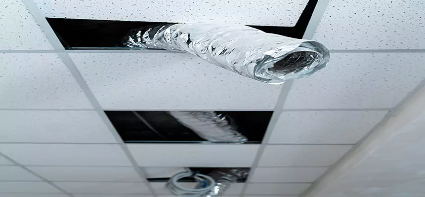 Our Air Duct Pet Hair Removal Services in Mill Creek East, WA