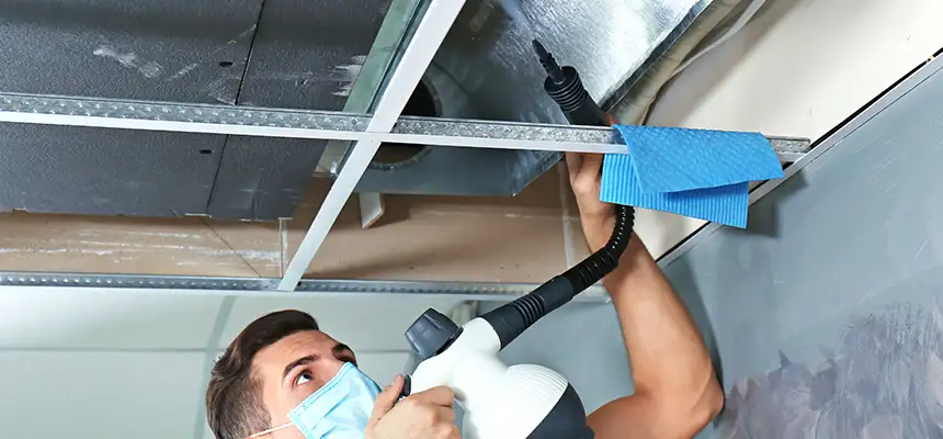 Our Air Duct Rodent Removal Services in Mill Creek East, WA