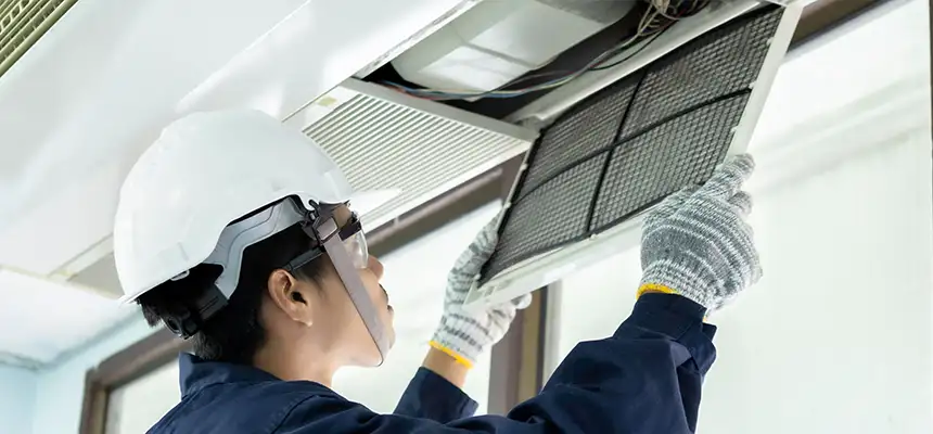 Our Lint Trap Cleaning Service Services in Mill Creek East, WA