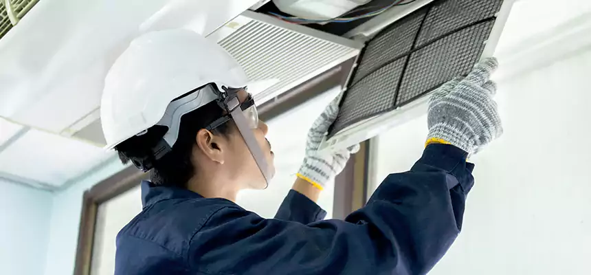 Our Mold & Mildew Removal from Air Ducts Services in Mill Creek East, WA