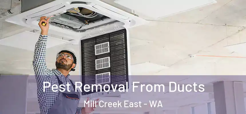  Pest Removal From Ducts Mill Creek East - WA