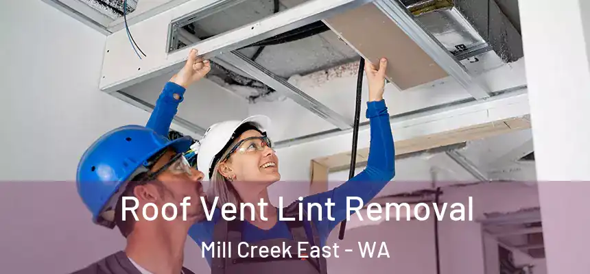  Roof Vent Lint Removal Mill Creek East - WA