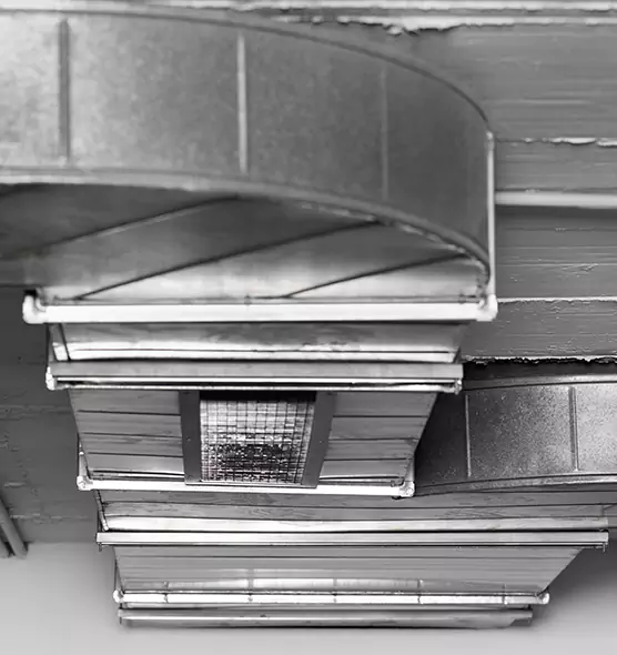 Professional Air Duct Pest Removal in Mill Creek East, WA