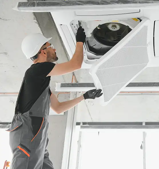 About Air Duct Rodent Removal in Mill Creek East, WA