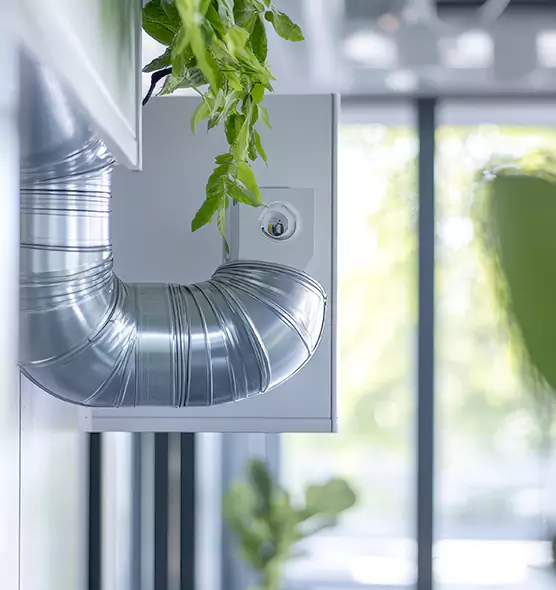 Professional Eco-Friendly Duct Cleaning Services in Mill Creek East, WA